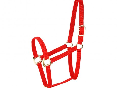 Horse Halter, Traditional Equine Nylon Halters